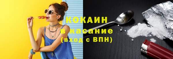 гашик Михайловка
