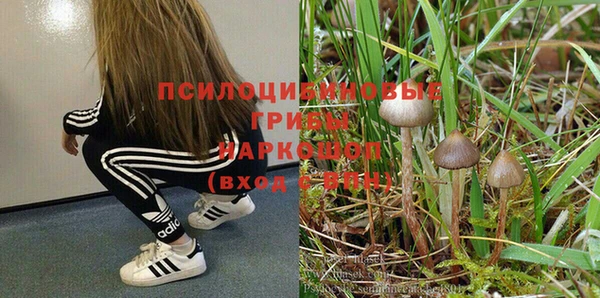 гидропоника Долгопрудный