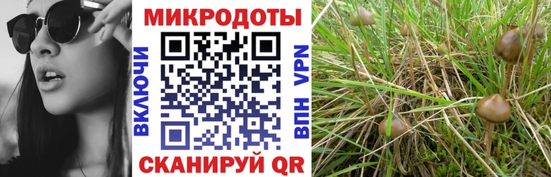 Псилоцибиновые грибы MAGIC MUSHROOMS  Курган 