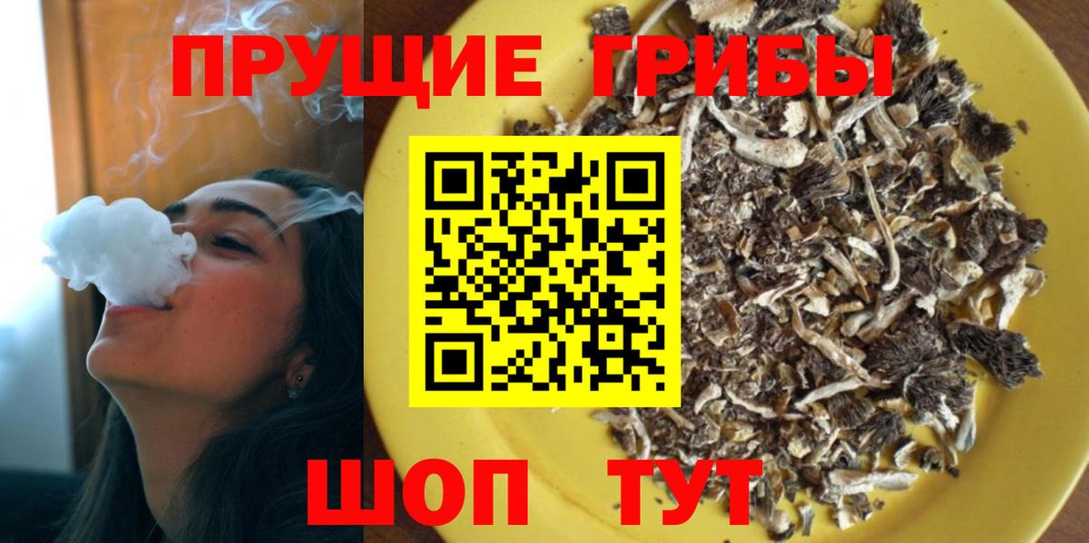 Псилоцибиновые грибы Psilocybe  где найти   Галлюциногенные грибы Psilocybine cubensis  Курган 