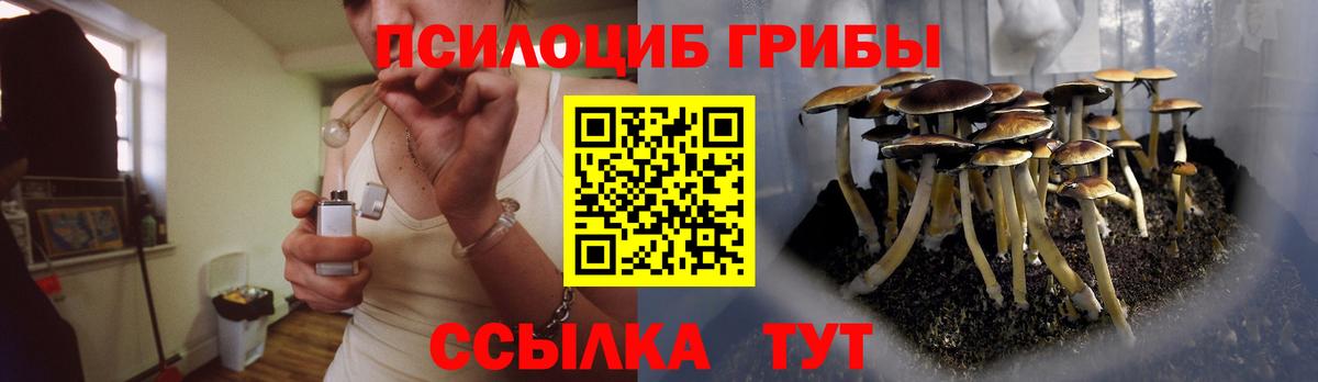 Псилоцибиновые грибы Psilocybine cubensis Курган