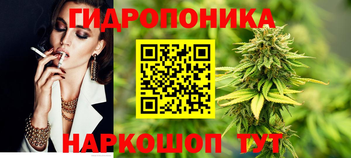 Конопля Ganja  Курган  Каннабис THC 21%  Бошки марихуана MAZAR 