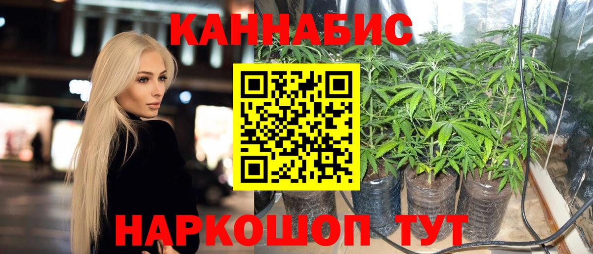 Шишки марихуана планчик  Вход с VPN  Шишки марихуана тримм  Курган  МАРИХУАНА тримм 